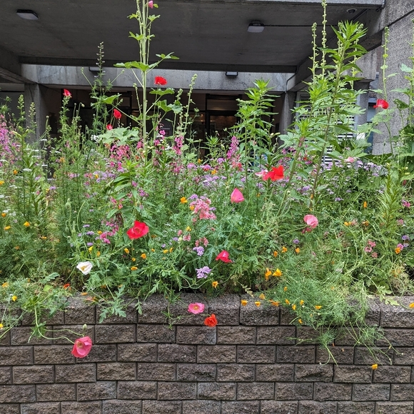 Meet your Posher, Chloe - Picture 1 of 1